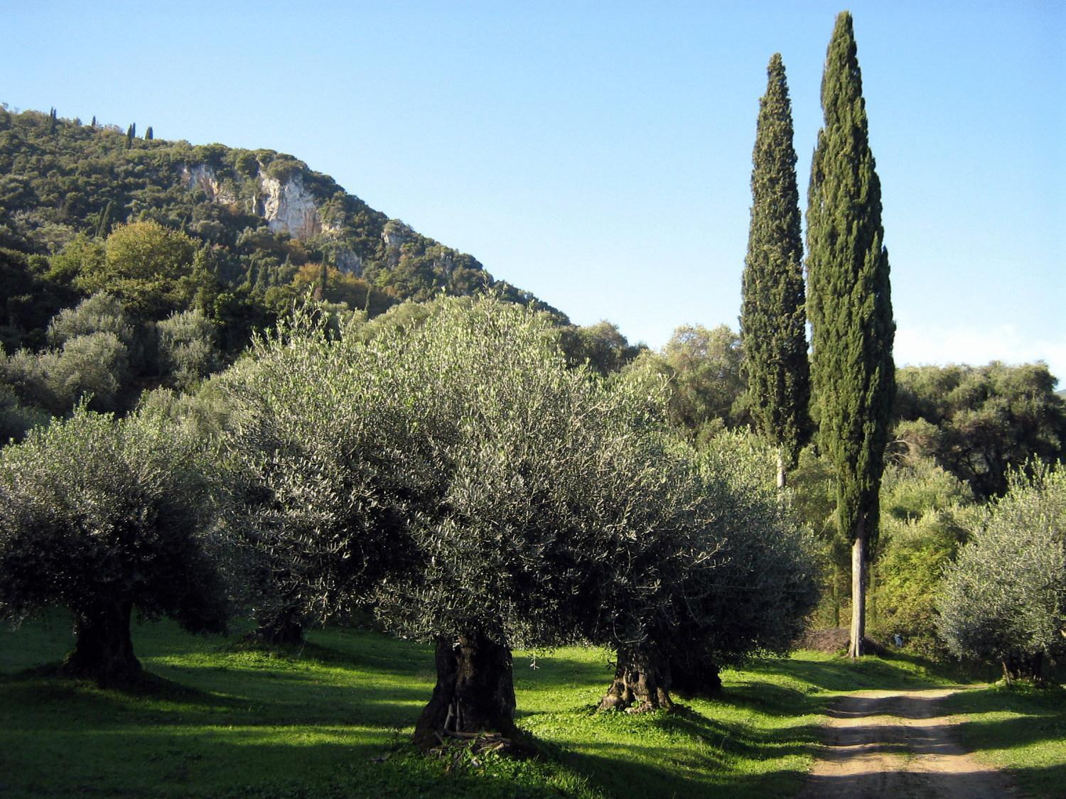 Appartamento Avgoustina Venus Benitses (Corfu)